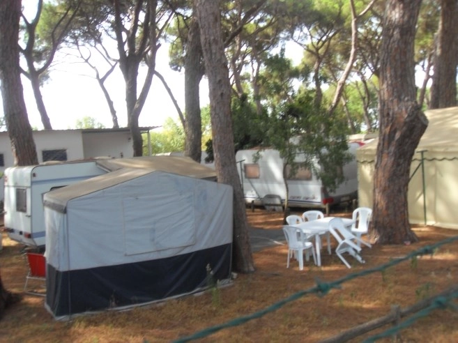 zobacz camping - zdjęcie 12