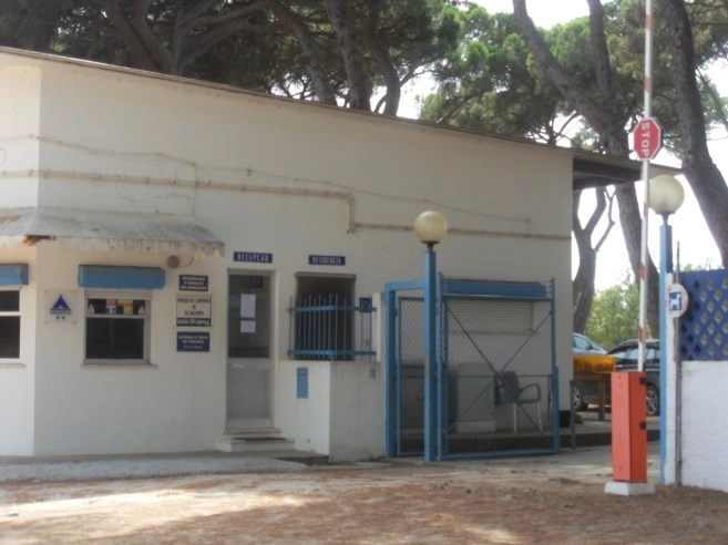 zobacz camping - zdjęcie 11