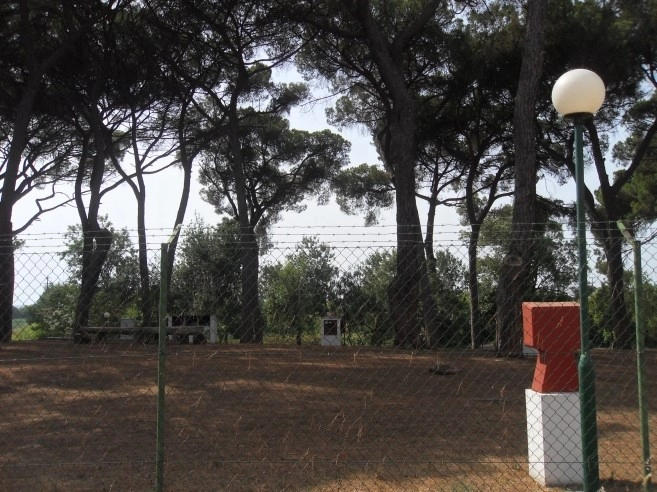 zobacz camping - zdjęcie 10