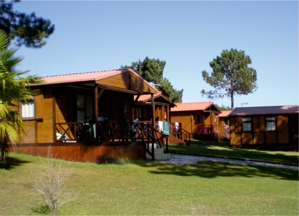 zobacz camping - zdjęcie 8