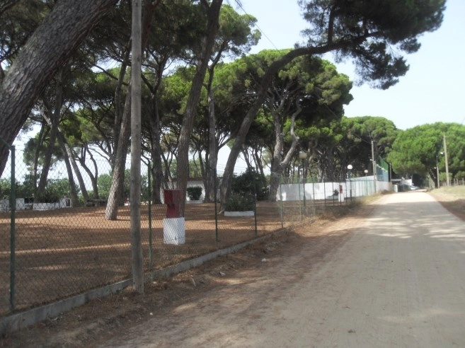 Parque de Campismo de Escaroupim - zdjęcie 1