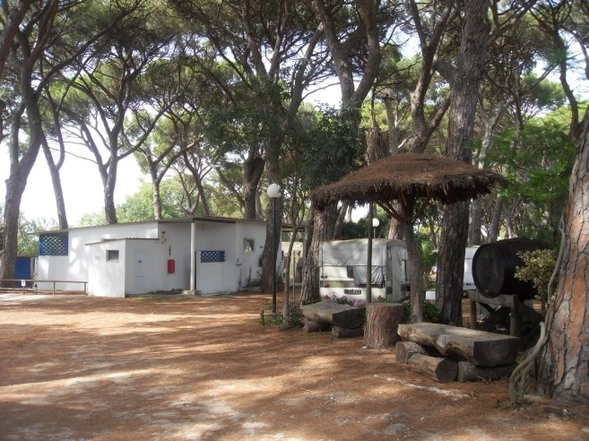 zobacz camping - zdjęcie 1