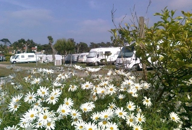 zobacz camping - zdjęcie 9