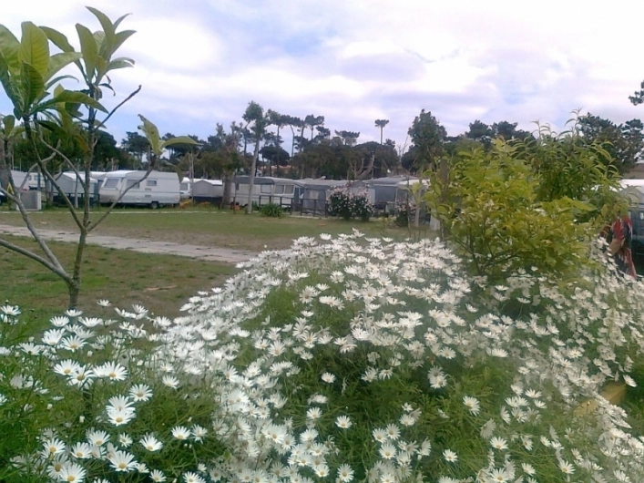 zobacz camping - zdjęcie 8