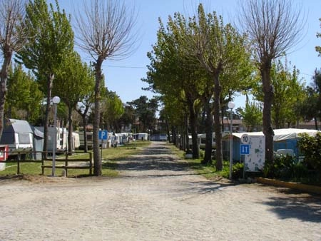 zobacz camping - zdjęcie 4