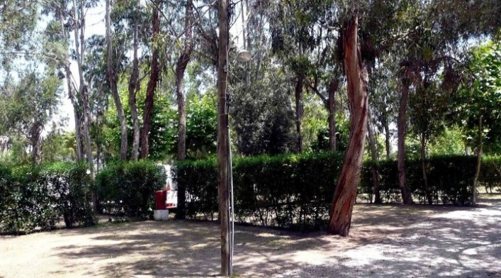 Parque de Campismo de Fetais - zdjęcie 4