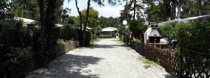 zobacz camping - zdjęcie 2