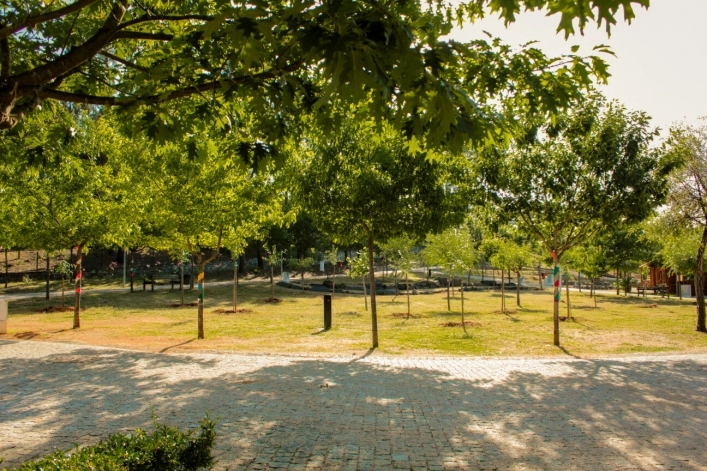 zobacz camping - zdjęcie 15