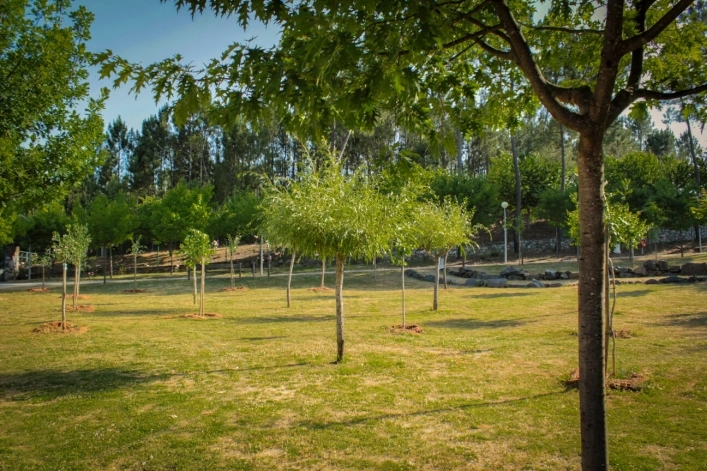 zobacz camping - zdjęcie 8