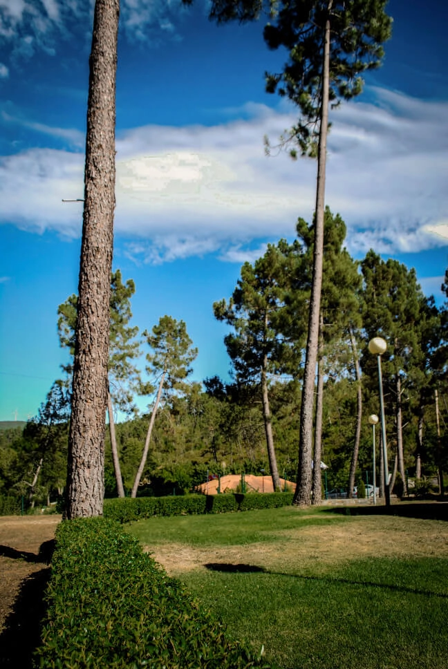 Parque de Campismo de Oleiros - zdjęcie 1