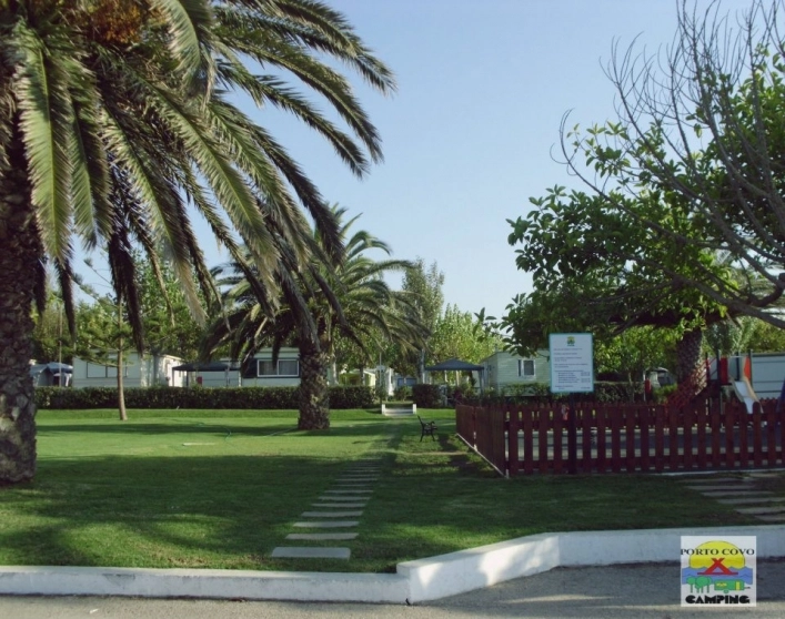 zobacz camping - zdjęcie 19