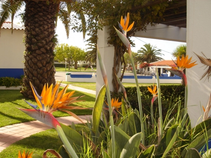 Parque de Campismo de Porto Covo - zdjęcie 1