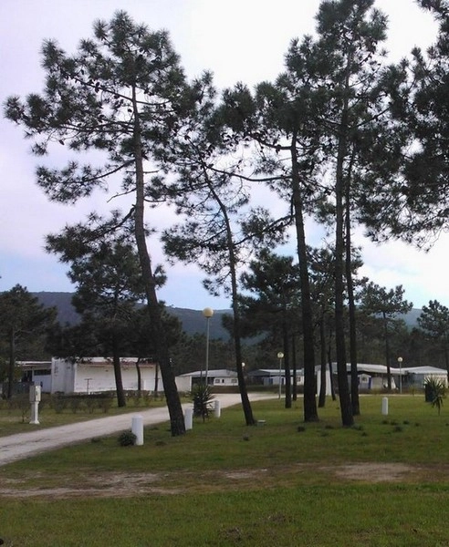 zobacz camping - zdjęcie 27