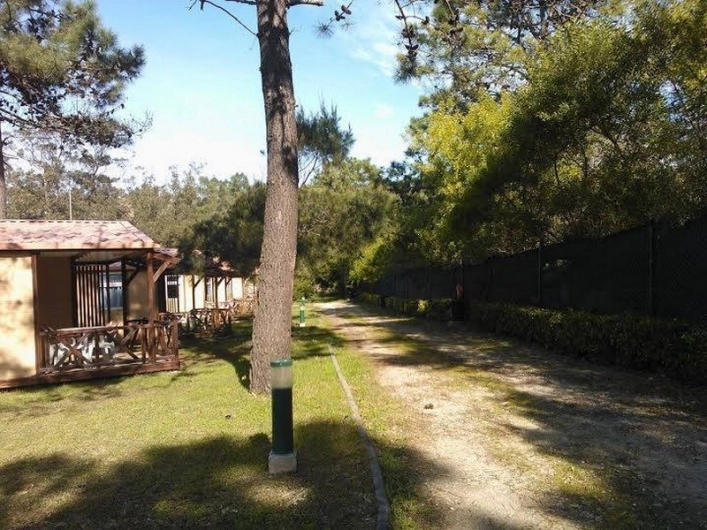 zobacz camping - zdjęcie 25