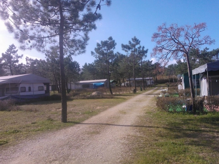 zobacz camping - zdjęcie 23