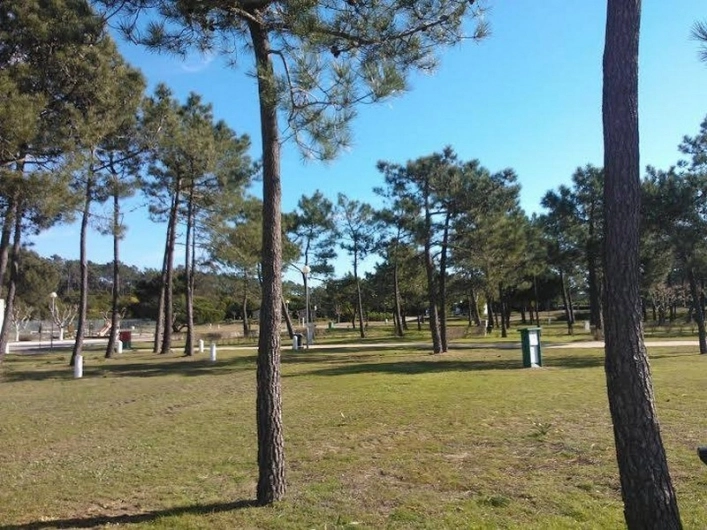 zobacz camping - zdjęcie 19