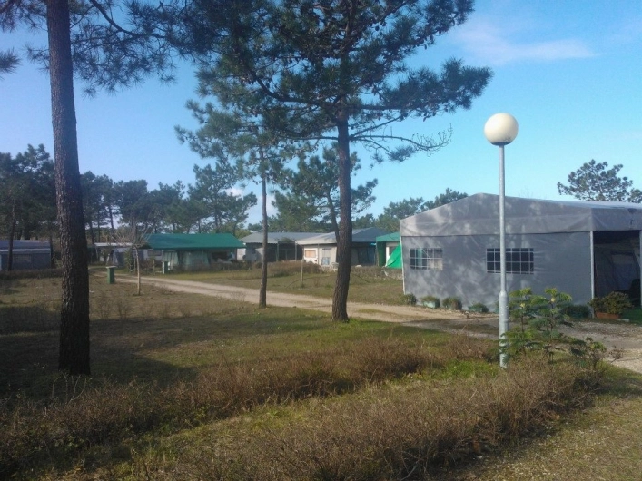 zobacz camping - zdjęcie 11