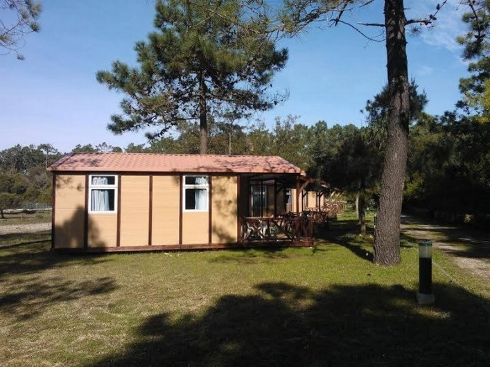 zobacz camping - zdjęcie 9