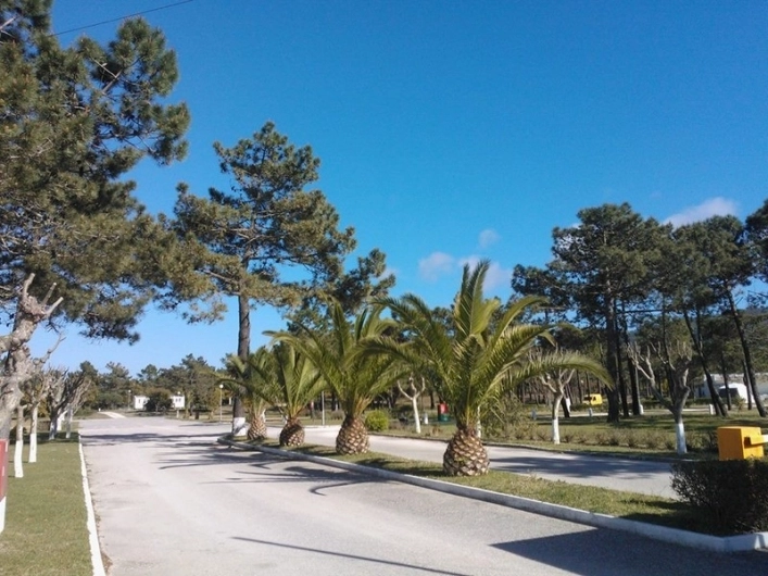 Parque de Campismo de Quiaios - zdjęcie 4