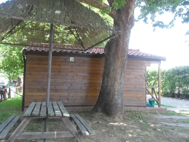 zobacz camping - zdjęcie 11