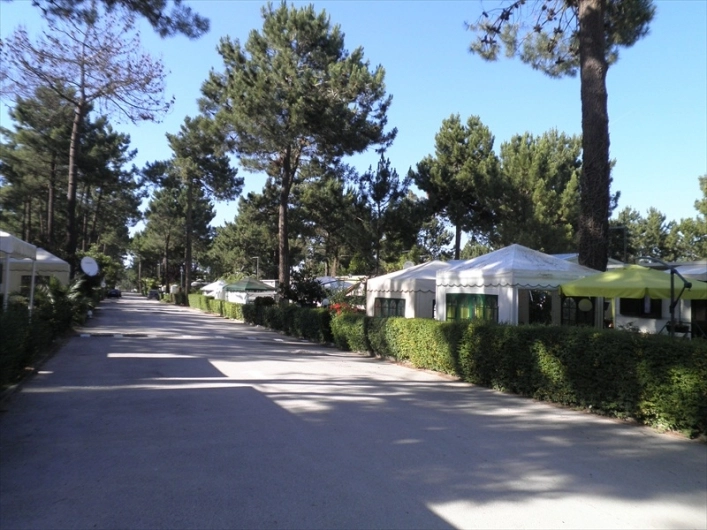 zobacz camping - zdjęcie 9