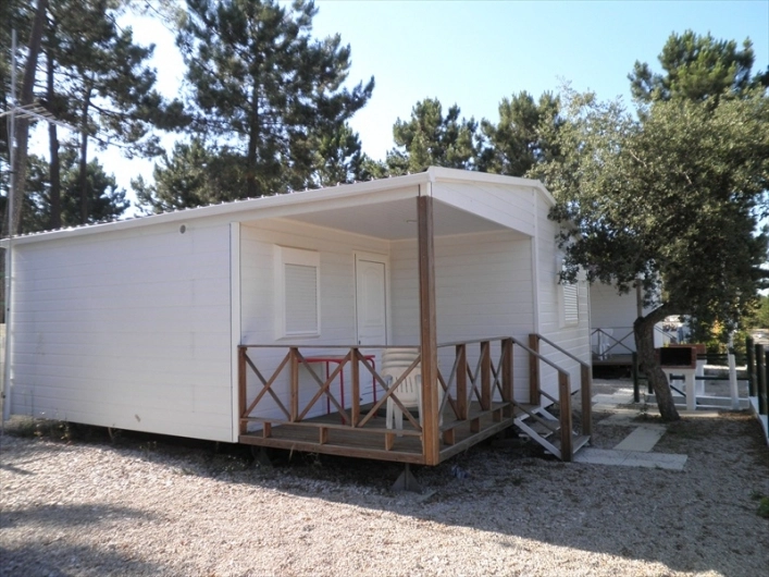 zobacz camping - zdjęcie 8