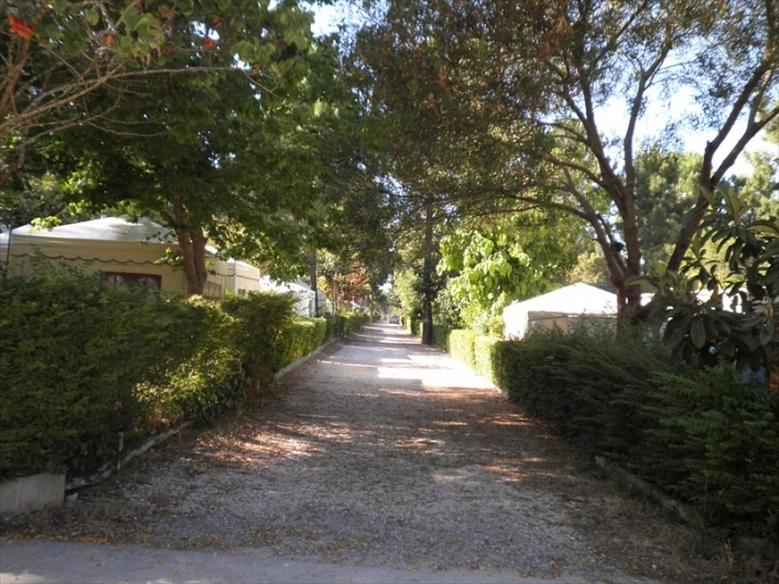 zobacz camping - zdjęcie 5