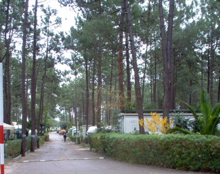 zobacz camping - zdjęcie 3