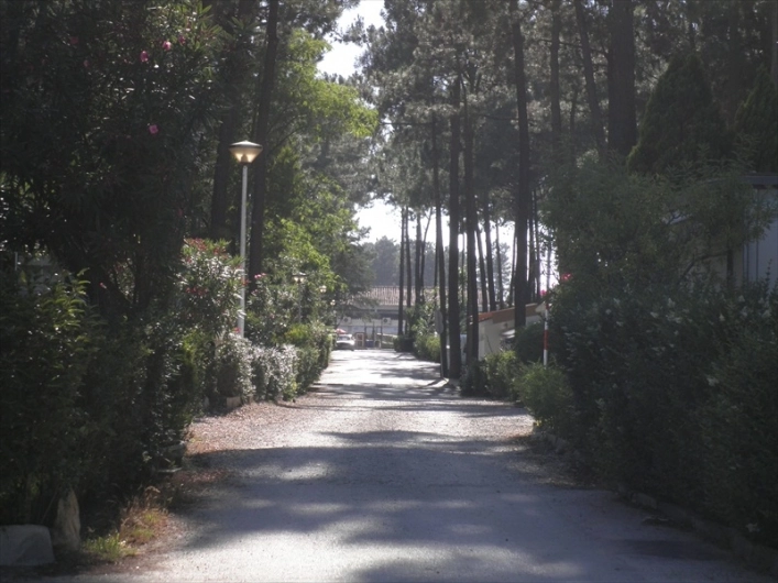 zobacz camping - zdjęcie 1