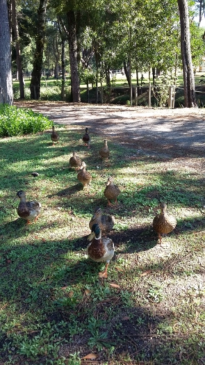 zobacz camping - zdjęcie 15