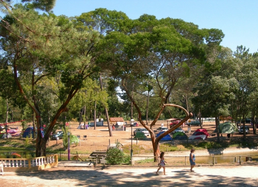 zobacz camping - zdjęcie 14