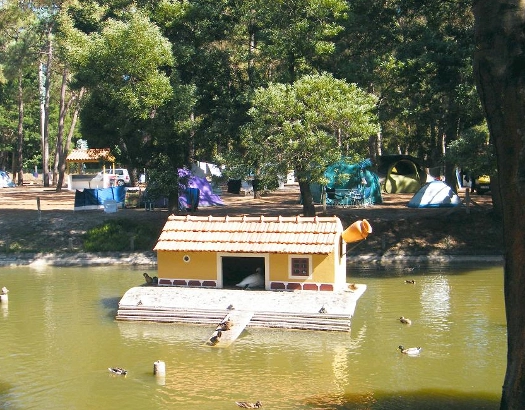 zobacz camping - zdjęcie 12