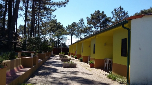 zobacz camping - zdjęcie 10