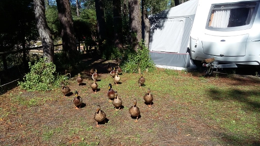 zobacz camping - zdjęcie 7