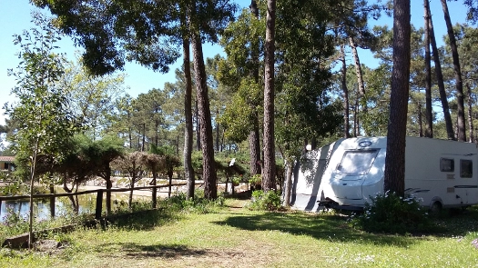 zobacz camping - zdjęcie 6