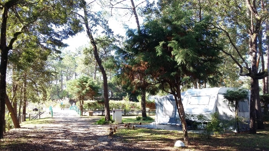 zobacz camping - zdjęcie 1