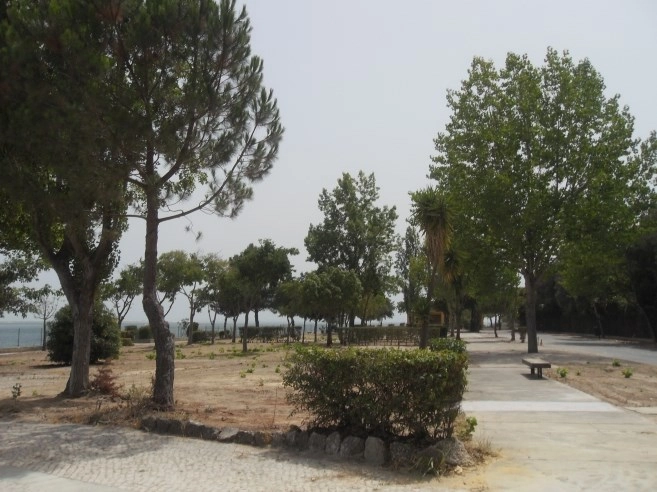 zobacz camping - zdjęcie 11