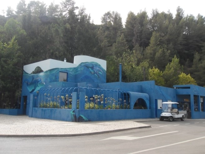 zobacz camping - zdjęcie 8