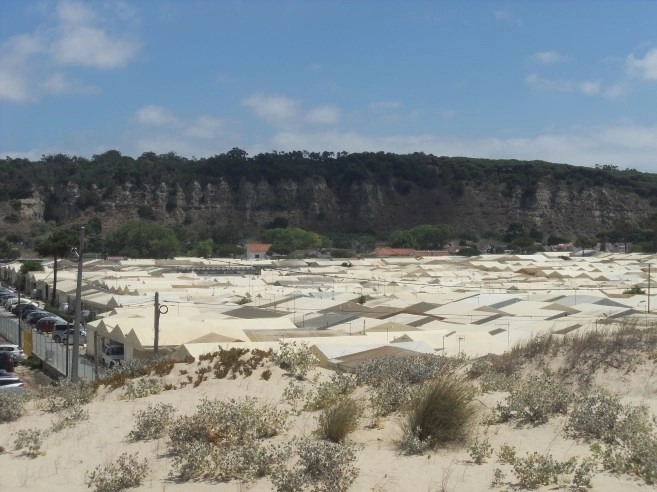 zobacz camping - zdjęcie 9