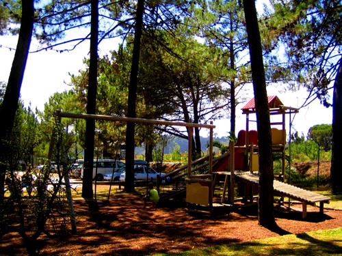 zobacz camping - zdjęcie 30