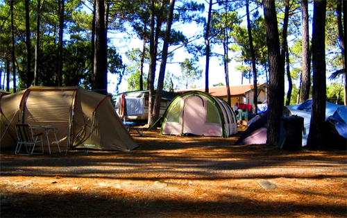 zobacz camping - zdjęcie 22