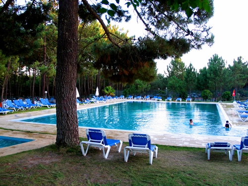 zobacz camping - zdjęcie 20