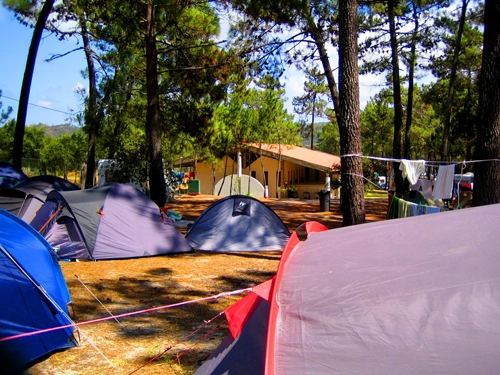 zobacz camping - zdjęcie 16