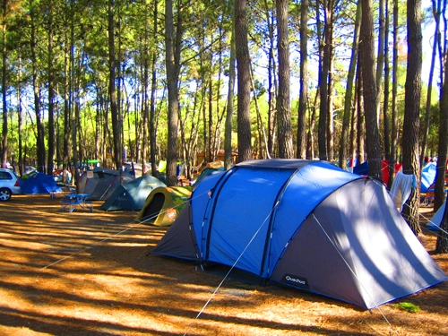 zobacz camping - zdjęcie 12