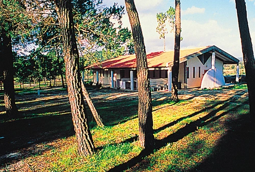 zobacz camping - zdjęcie 4