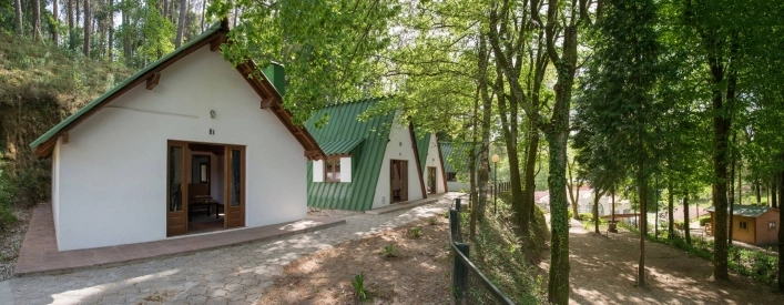 zobacz camping - zdjęcie 16