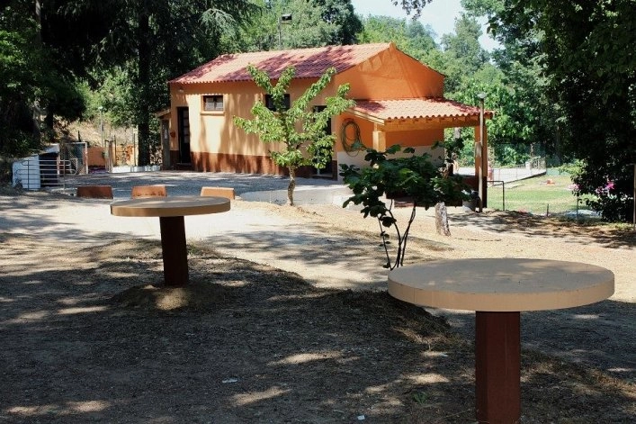 zobacz camping - zdjęcie 10