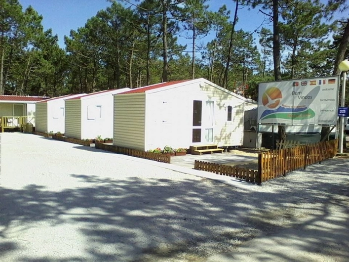 zobacz camping - zdjęcie 19