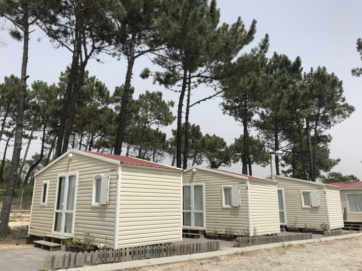 zobacz camping - zdjęcie 13
