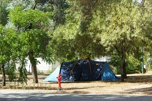 zobacz camping - zdjęcie 15